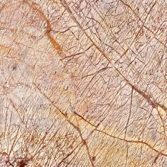 Rainforest Brown 