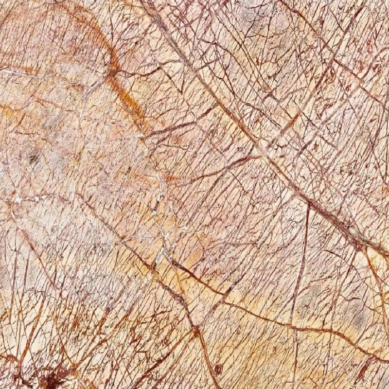 Rainforest Brown 