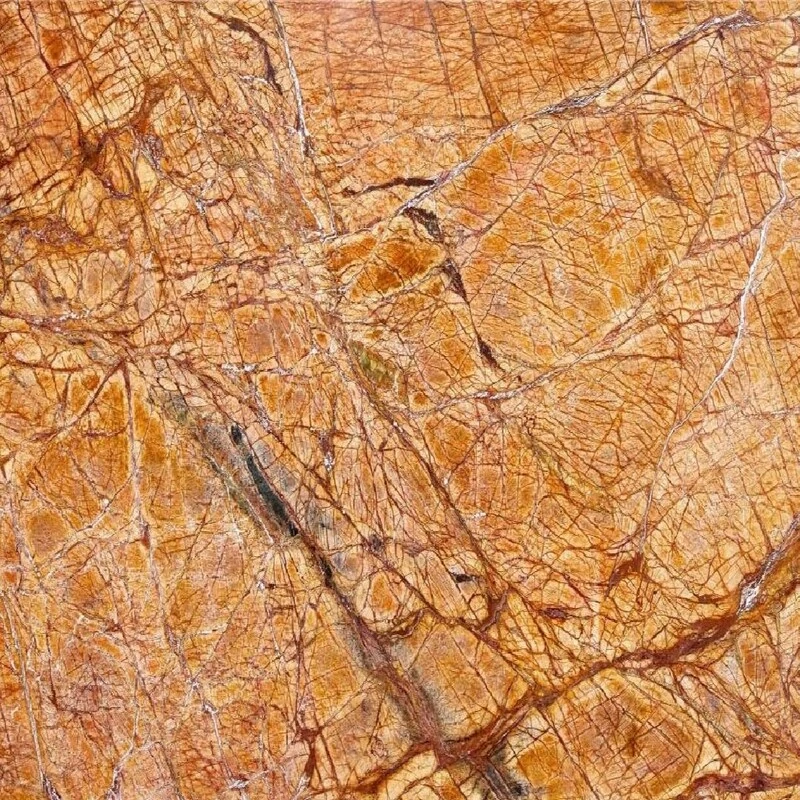 Rainforest Gold